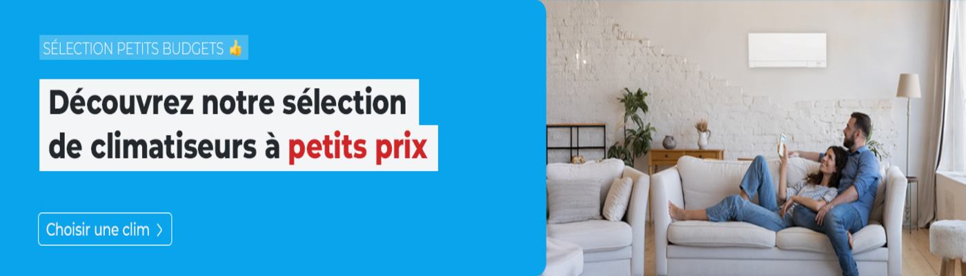 Climatiseurs mobiles Domotelec