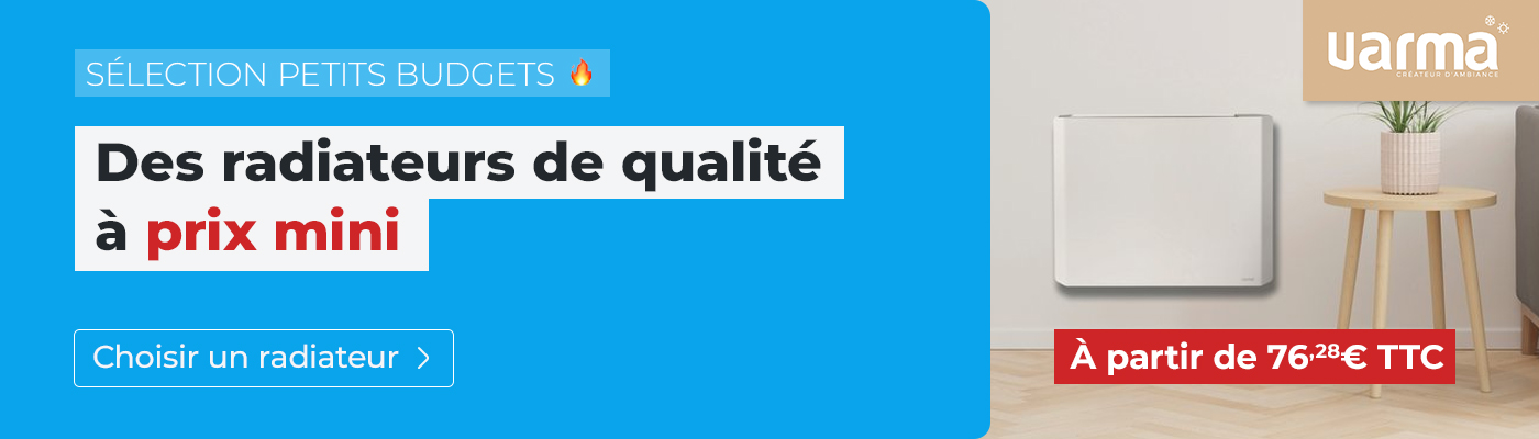 Climatiseurs mobiles Domotelec